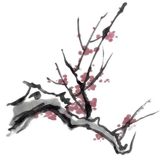 零基础国画入门详细讲解梅花的五种画法手把手教画简单易学