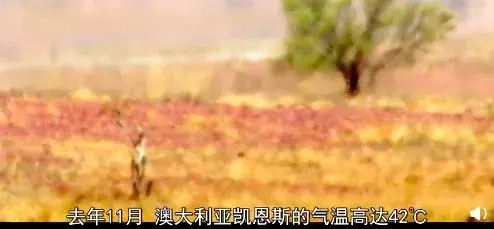 bbc纪录片揭秘气候变化真相:留给人类的时间不多了!| 花边阅读