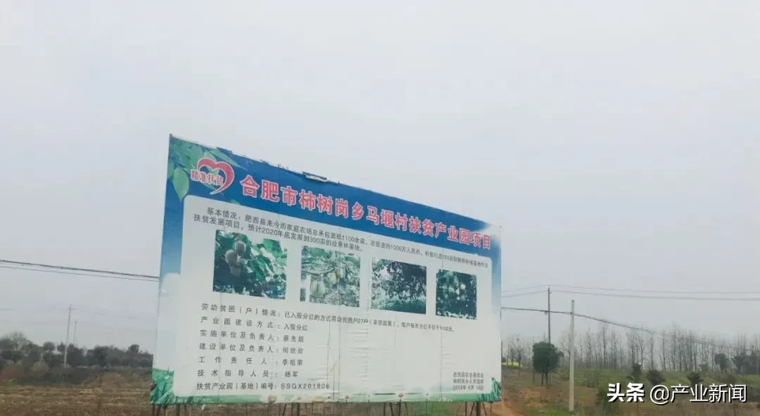 来今雨农场——一位退役海军开创的农业新天地