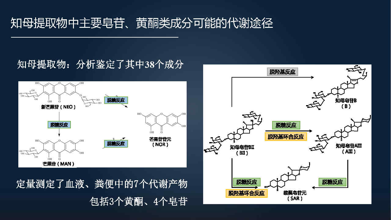 马百平：20分钟详解从有效成分到肠道菌群，中药如何突破？