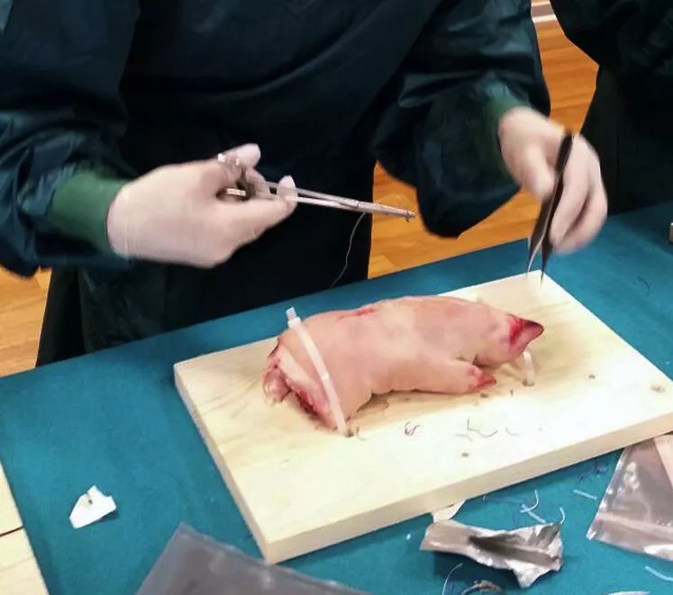 千里姻缘一线牵，盘点6000年间你不知道的那些手术缝合线 