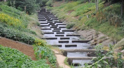 跟着口诀找鱼道，眼神不差就一定找得到