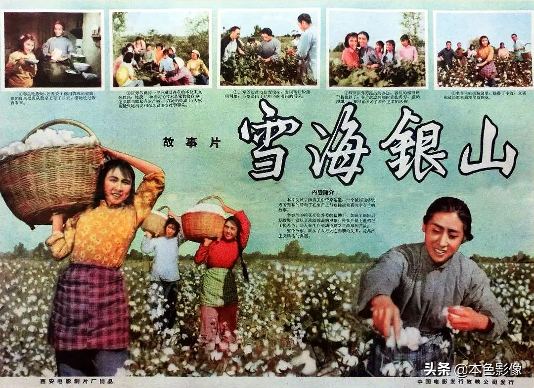 五十年代国产电影大全(1958)