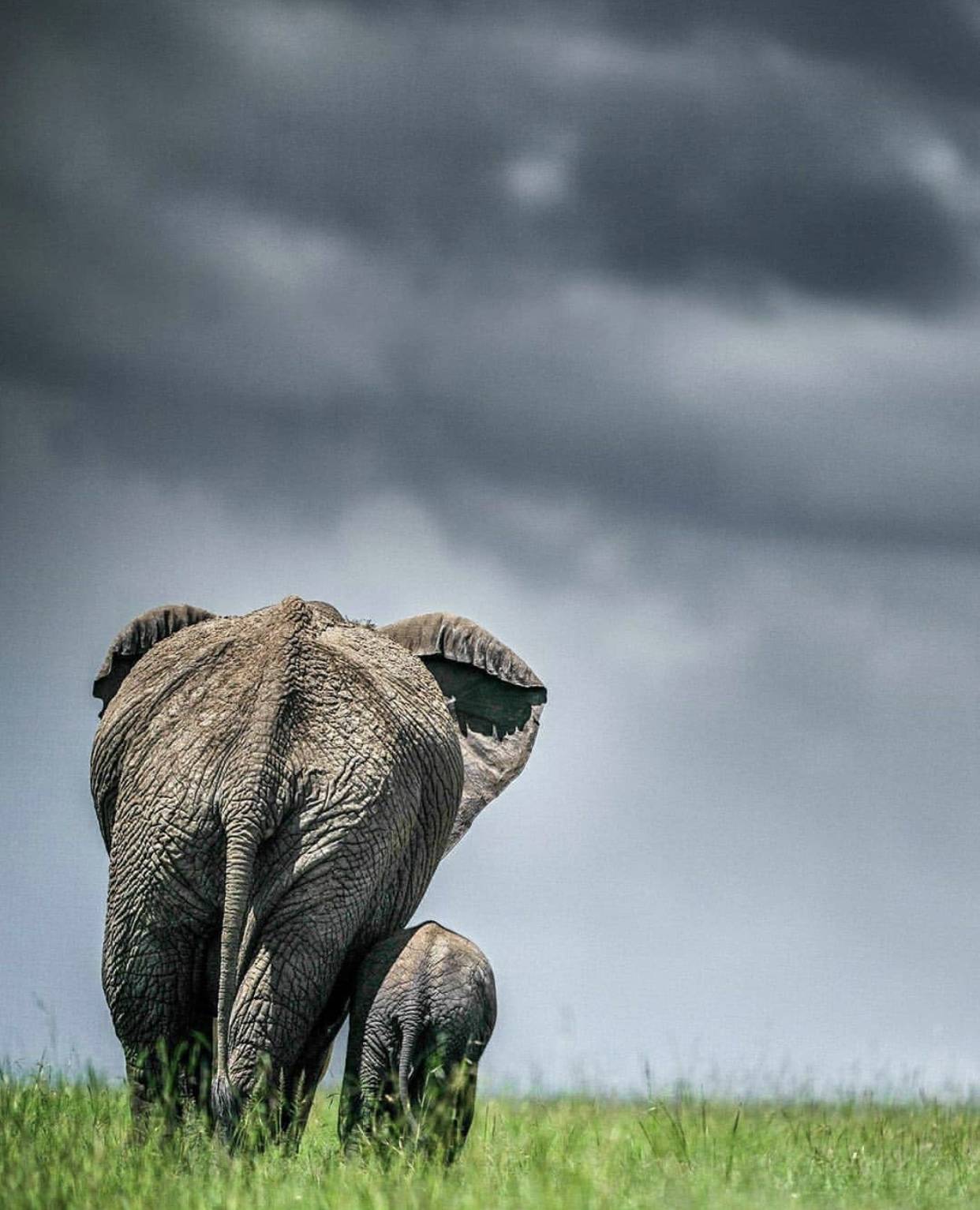 從這些照片裏，感受到了生命的溫度