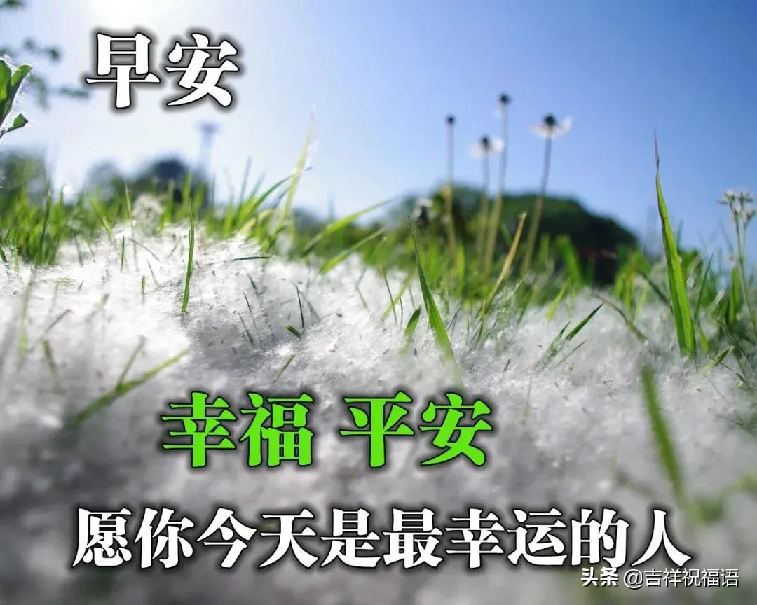早晨好唯美图 早上好的图片表情带问候句子图片