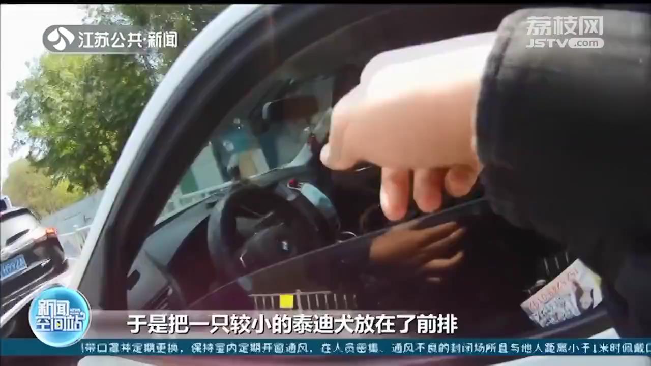 驾驶位车窗探出一只泰迪狗头！南京民警及时叫停危险驾驶
