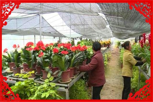 一个中年人，手里没有多少资金，在农村有什么