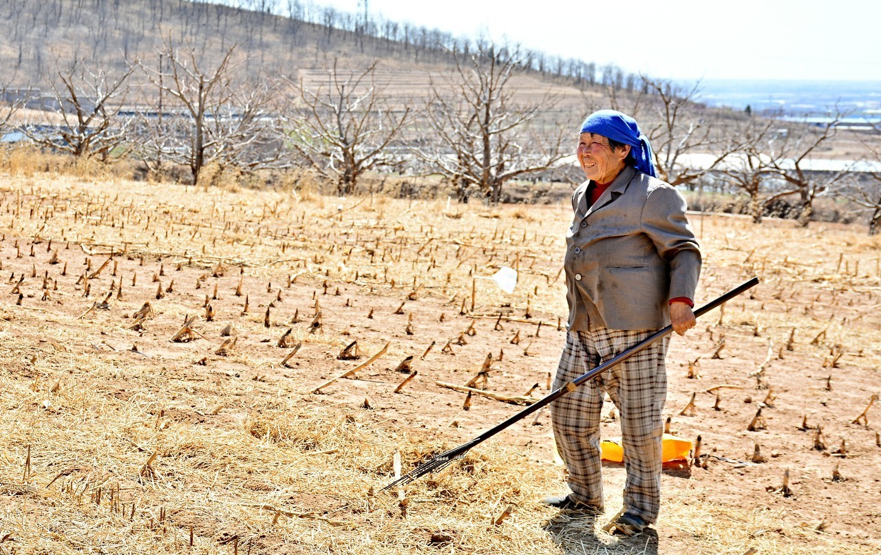 “清明天晴无雨色，当年定唱丰收歌”，老农的