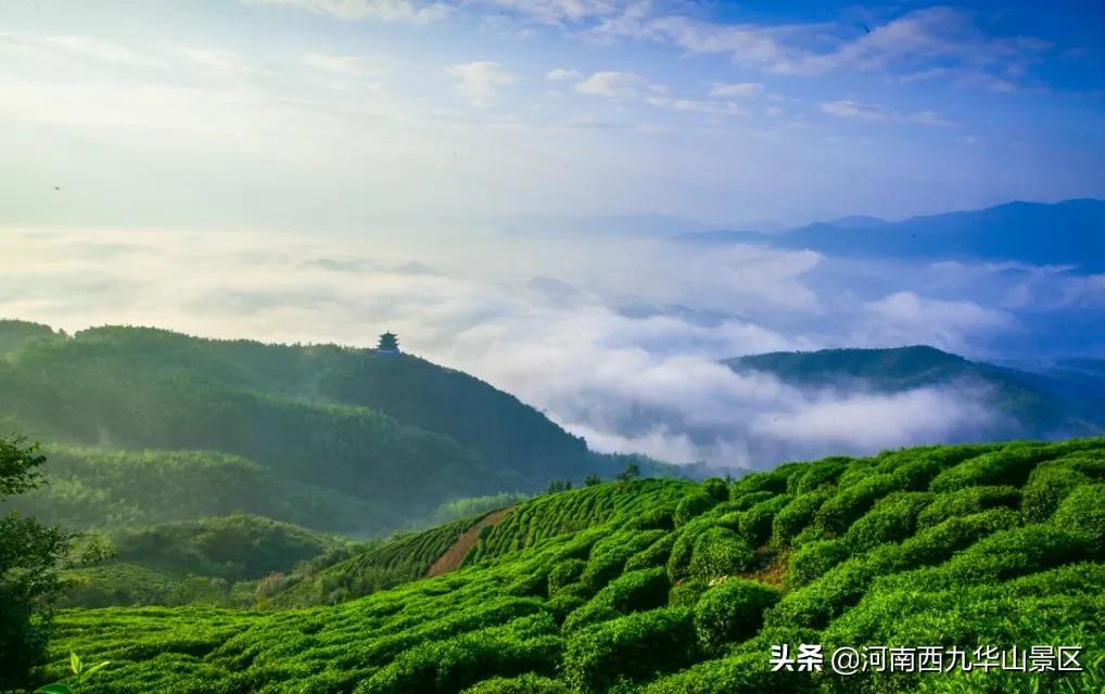 @中、高考考生，帶上準(zhǔn)考證景區(qū)半價(jià)游，感受夏日清涼