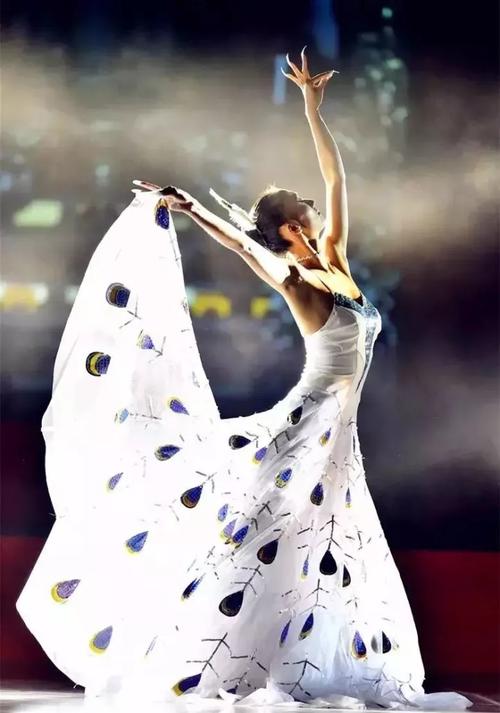 杨丽萍陪客拿空碗做样被批做作，20年不吃饭的她