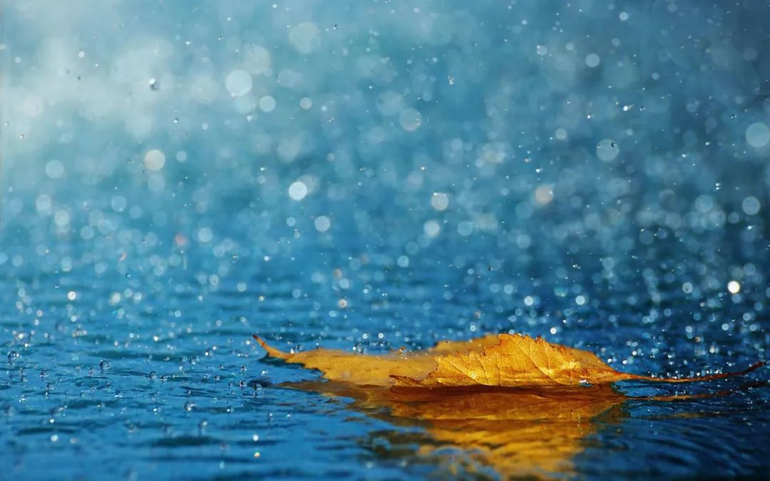 冬天不仅有寒雨，有冰雪，还有诗​-第2张图片-非凡网