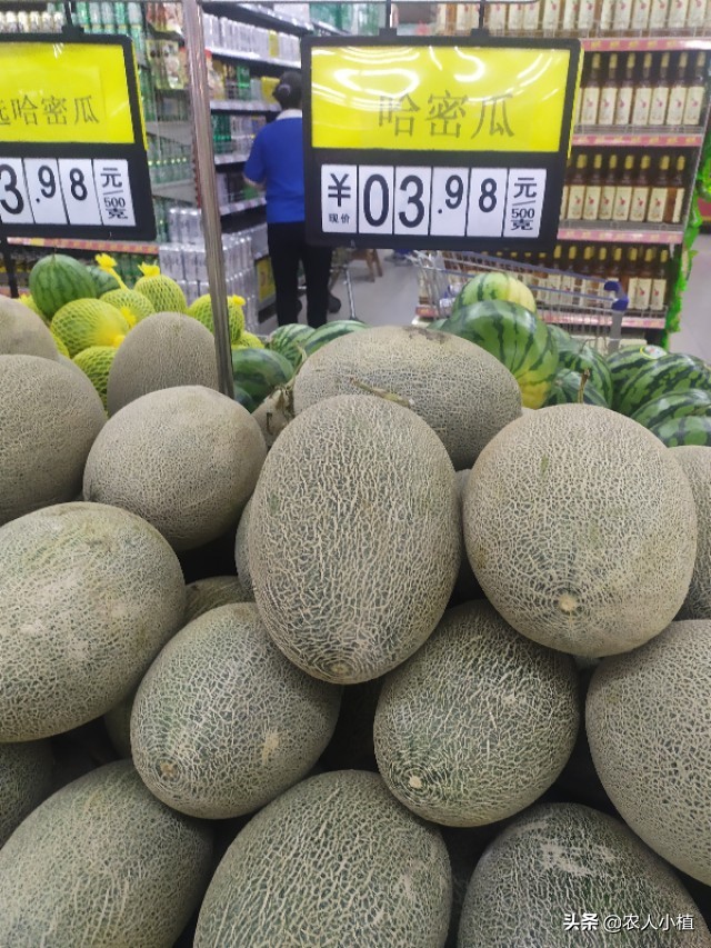 想知道市面上热销的水果价格吗？这里统统告诉你
