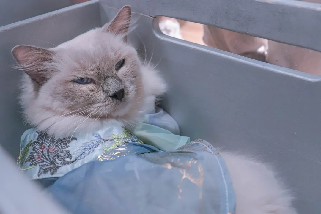 赚钱别光盯“风口”，要抓住“周边”！有人靠它日入上千