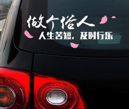 姓氏車貼火了！容我先做個(gè)自我介紹：我姓許，敢睡蛇的那個(gè)許