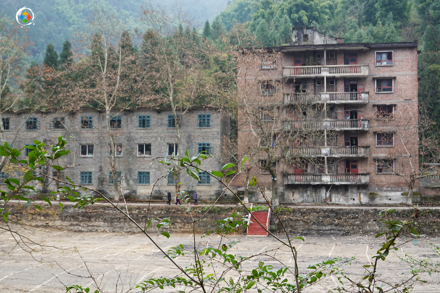 重庆金佛山冬日游：这个国家级5A景区，是不是真的徒有虚名？