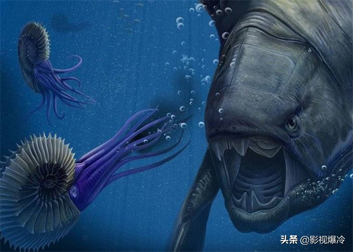 这3种史前生物如果没有灭绝，人类谁敢进入海洋