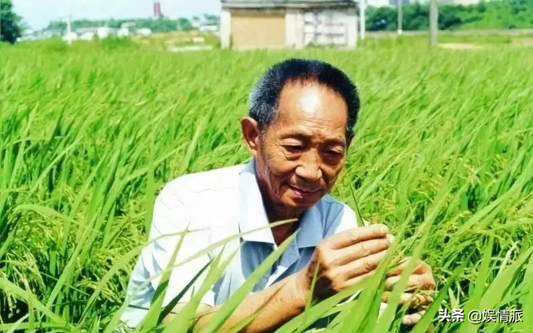 电视剧《功勋》将开拍，聚焦八位国宝级人物，郑晓龙任总导演