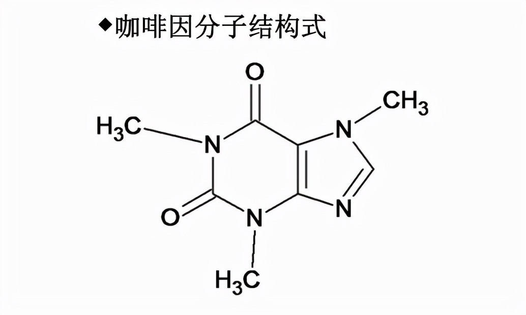 咖啡因是一种黄嘌呤生物碱化合物,是一种中枢神经兴奋剂,能够暂时的