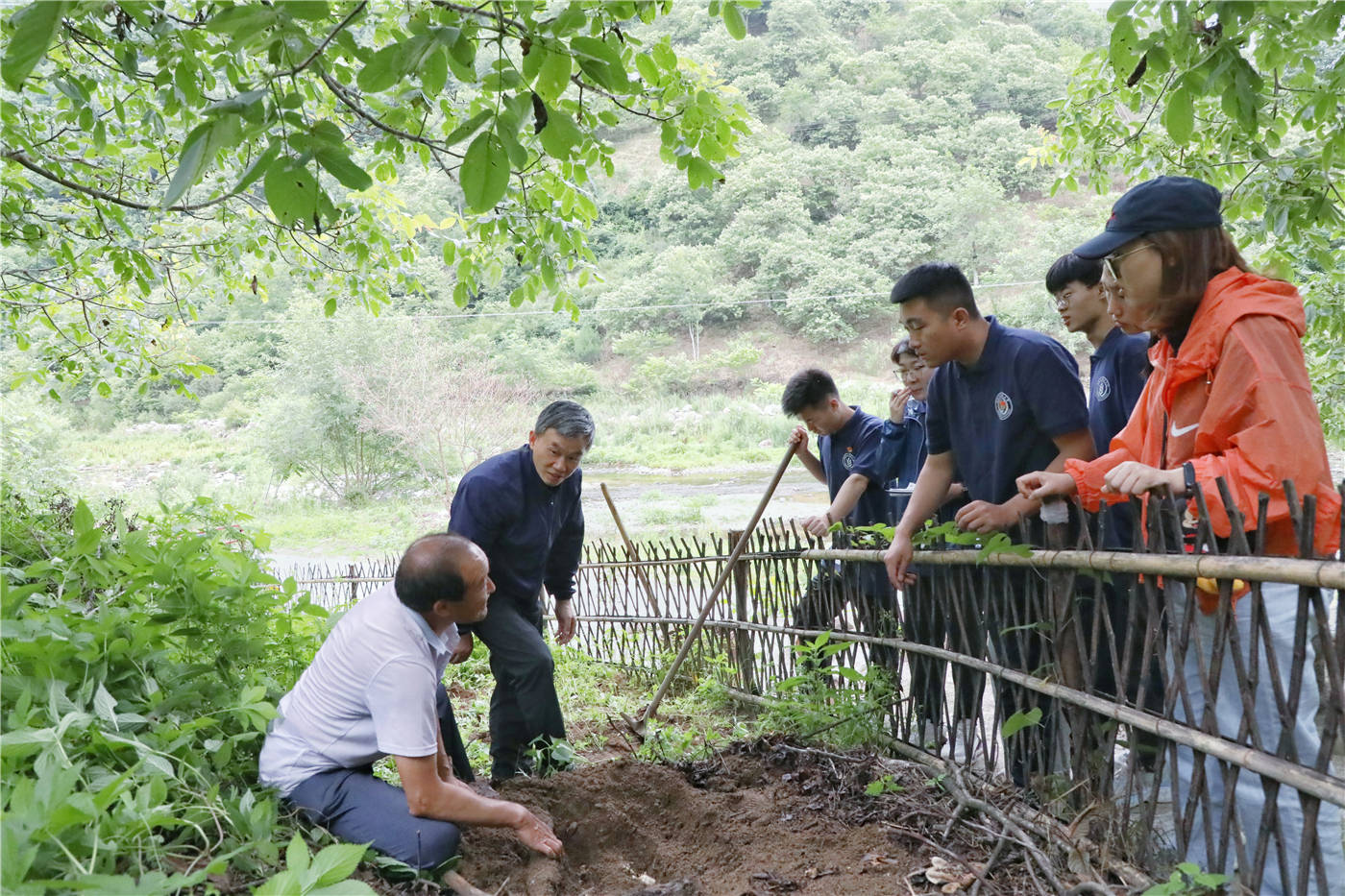 发展天麻产业 助力两河振兴