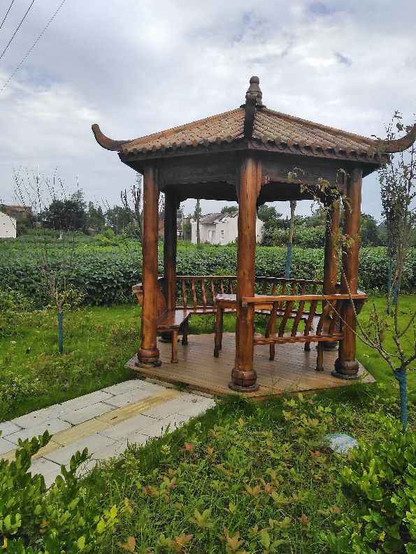 毛市镇石码村：力拓荒原建基地 红色薪火永相传
