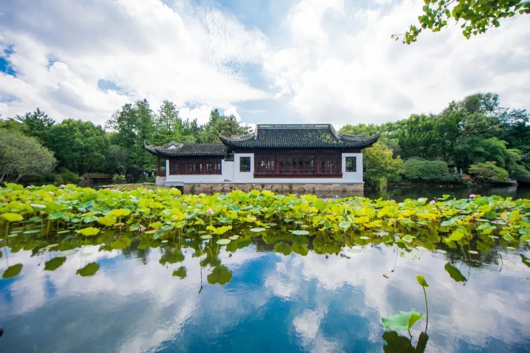 入选小学课本的60首唐诗，每一首都有一个千古名句，全是经典-第8张图片-非凡网