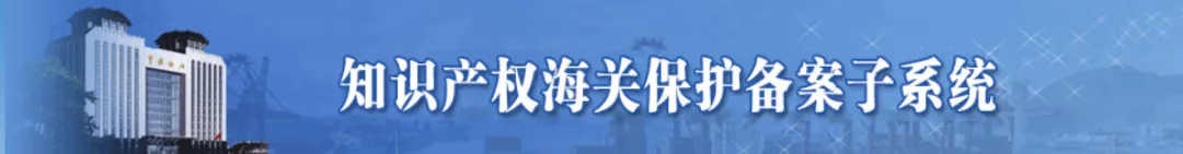 备案在手 维权无忧丨知识产权海关保护备案操作攻略来啦