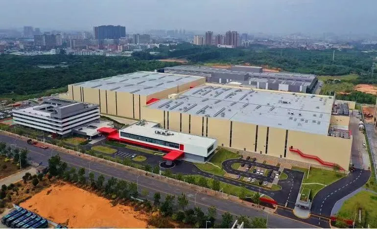 多地下架，维他奶一天暴跌23亿