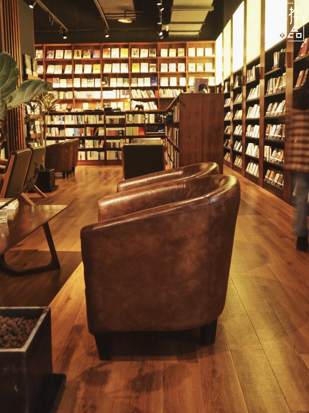 不被人理解的刀锋书酒馆：老板辞去高薪外企工作，独自经营小书店