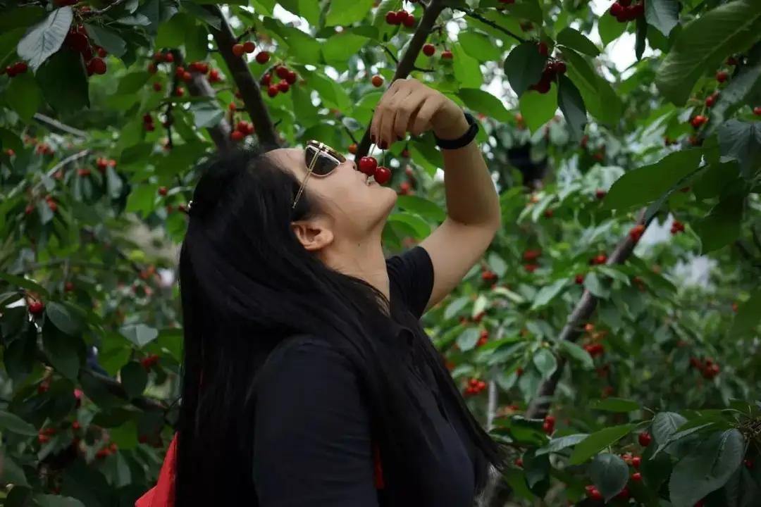 Eat off 180 thousand tons one year, price cutting sb in two at the waist still is disrelished expensive, 