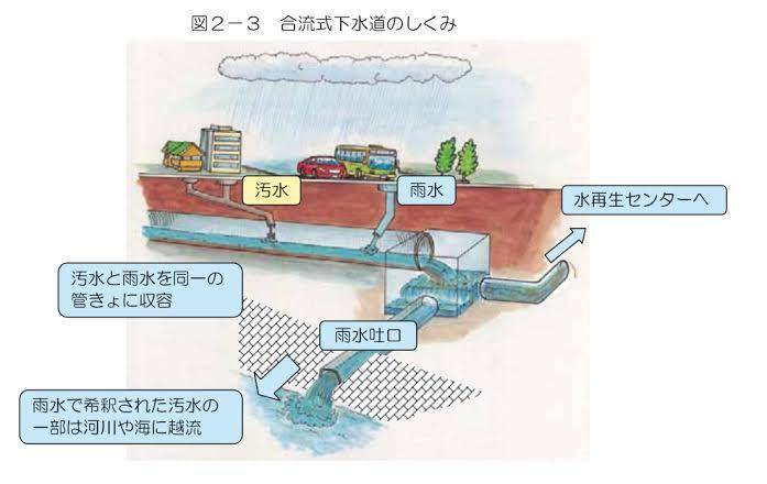 “粪水”中比赛？奥运会运动员赛后集体呕吐，我国运动员该咋办？