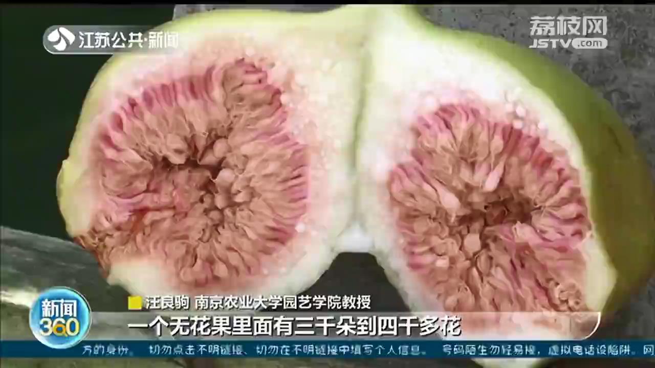 无花果里藏有小蜂？专家辟谣：国内品种不会有这种现象