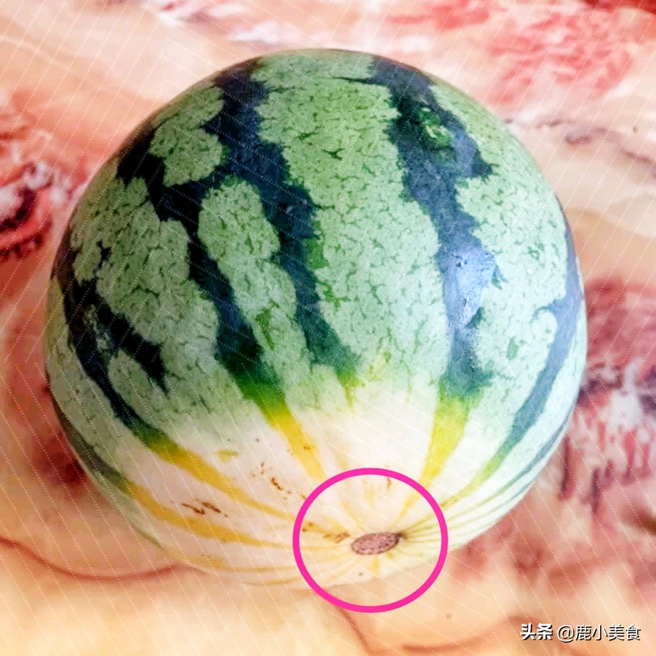 西瓜甜不甜，看4個地方！ 一挑一個準，老瓜農的竅門太管用了