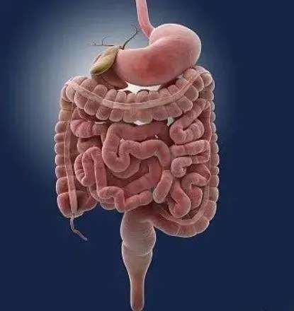 消化科医生提醒：这样的大便，可能预示着大肠癌