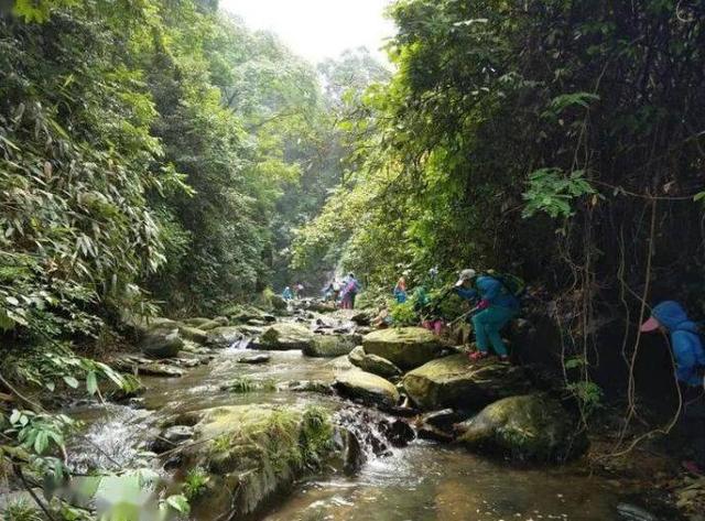 湖南建一条“一路风景”的高速，长约33.6公里，投资约57亿