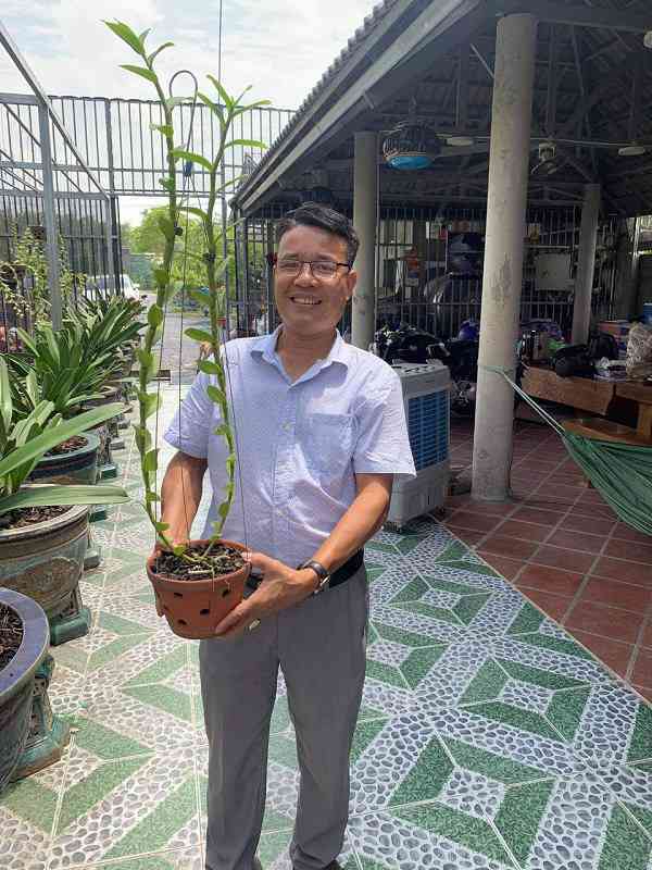 男子当了25年木匠一直贫穷，6年前因种植稀有兰花成亿万富翁