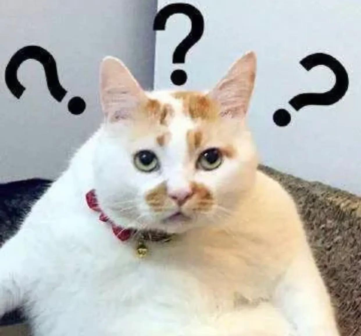 有点毛病的沙雕文案.