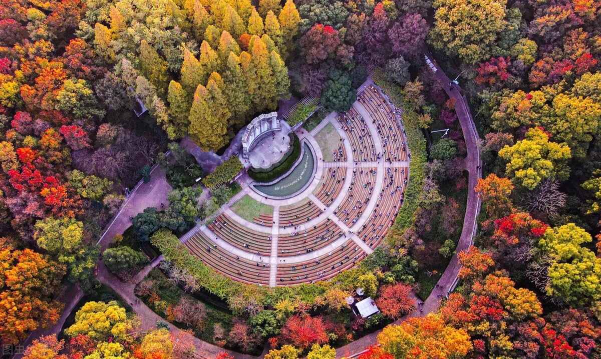 南京的秋天，美成了金陵该有的样子，谁能不爱？插图