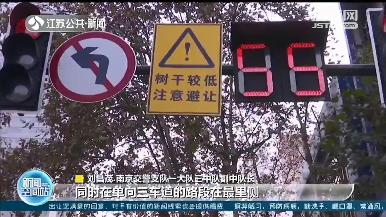 南京启动城市梧桐树守护计划 多项措施预防&ldquo;车撞树&rdquo;
