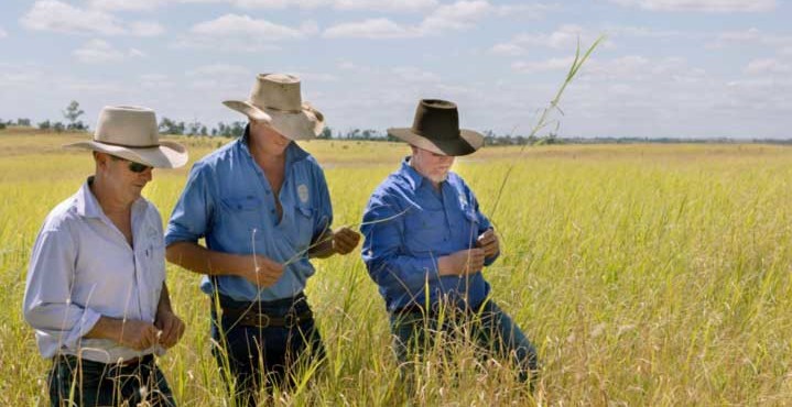澳大利亞牛肉棉花葡萄酒出口受挫後，美媒：澳農民將受苦，有進展