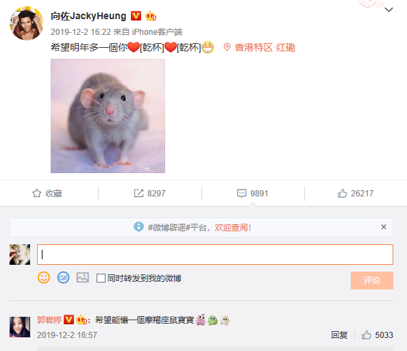 向佐愿望成真郭碧婷怀孕？三棵树喻三只鼠，晒树被指 "开枝散叶"