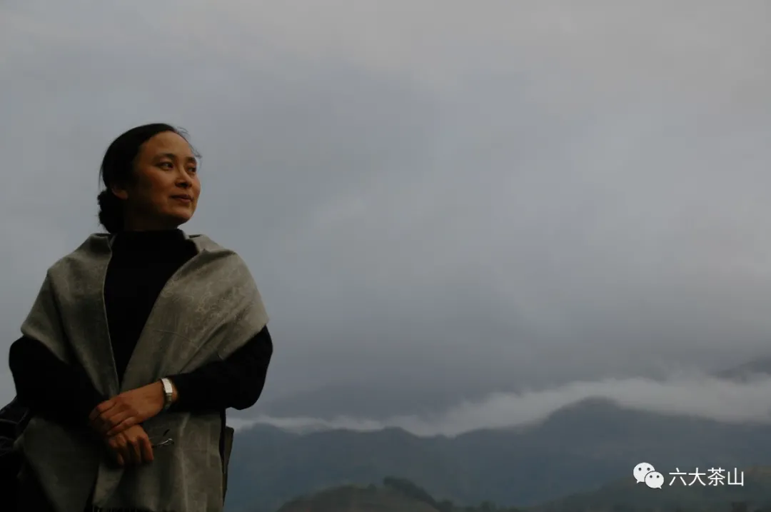 喜报!六大茶山董事长阮殿蓉女士入选中国制茶大师候选人