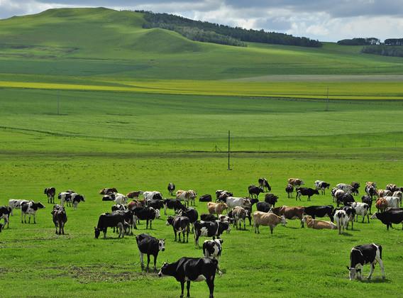未解的谜团：传说中昆仑地狱之门，万祖之山昆仑山深处到底隐藏了什么谜团？