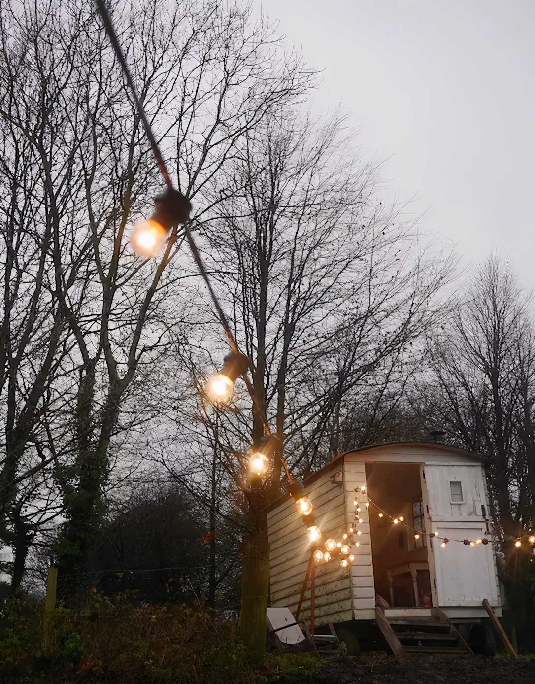 39岁富二代舍弃豪宅 带着两娃住乡下农舍 种菜喂鸡摘果 Bierenjia De