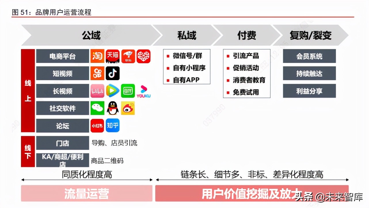 消费行业专题报告：解码国产品牌崛起