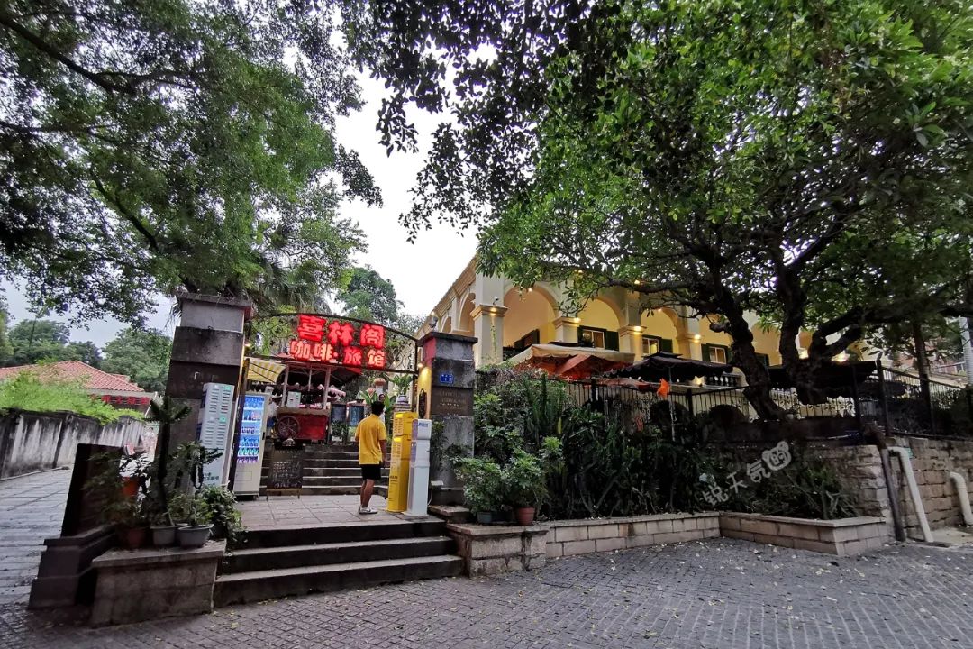 抓住暑假的尾巴，到鼓浪屿百年老别墅，享受到的不止是浪漫下午茶