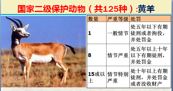 国家最新125类二级野生保护名录，图片及违法对应刑责