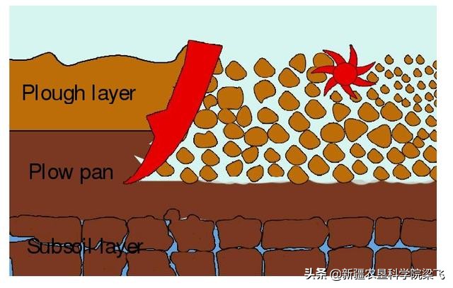 盐碱地改良过程中是否需要全部打破土壤障碍层的关键技术分析