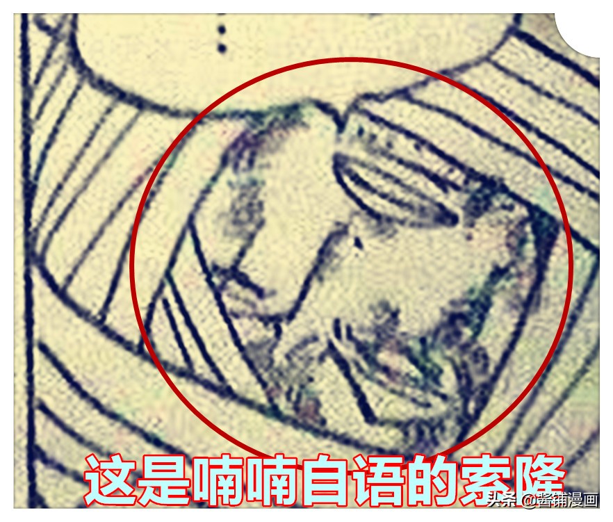 海賊王1012話，暴走的貓蝮蛇vs7億的佩羅斯佩羅，傳次郎行蹤成謎