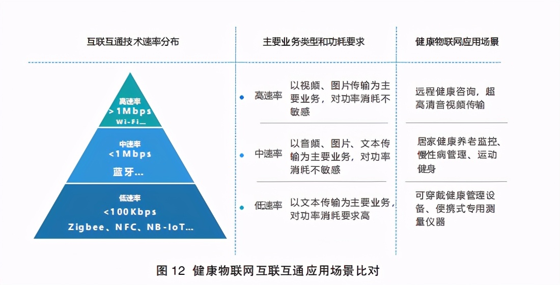 2020健康物联网白皮书