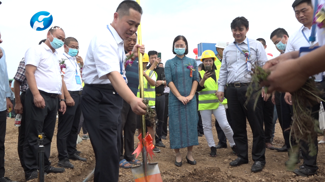 报道 | 中国虎狼爬岭富硒丹参种植基地开工奠基仪式在河南汝州举行